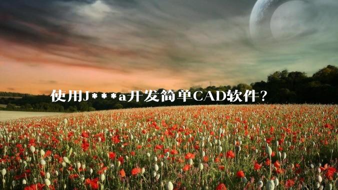 使用J***a开发简单CAD软件？